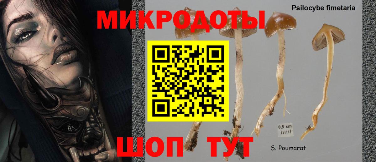 Псилоцибиновые грибы Psilocybe  Вход с VPN  Новокубанск  Псилоцибиновые грибы Psilocybine cubensis 